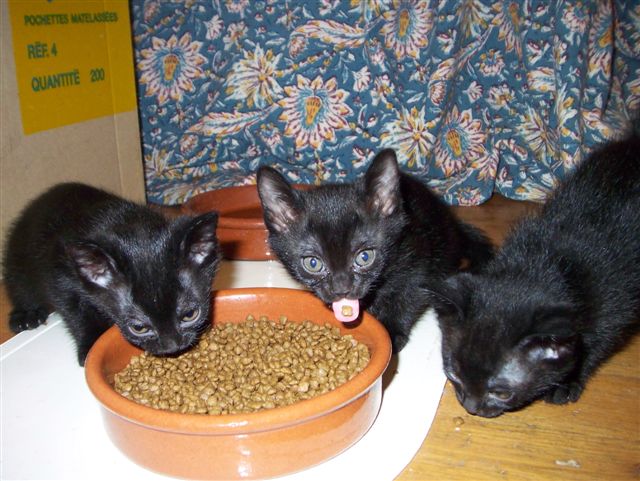 tu veux ma photo :o)